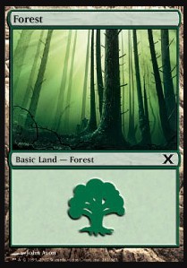 Forest 3