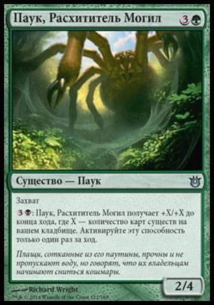 Graverobber Spider (rus)