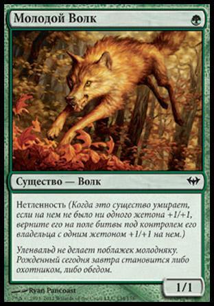 Young Wolf (rus)