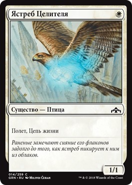 Healer's Hawk (rus)