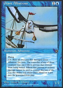 Giant Albatross 1
