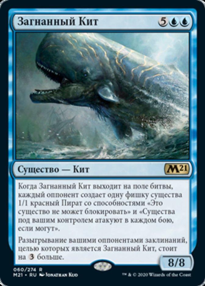 Загнанный Кит (Pursued Whale)