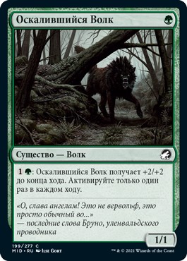 Snarling Wolf (rus)