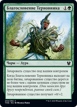 Warbriar Blessing (rus)