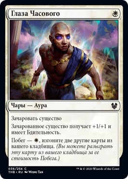 Sentinel's Eyes (rus)