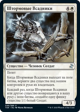 Stormfront Riders (rus)