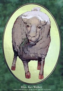 Sheep (Token)