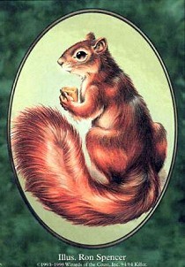 Squirrel (Token)