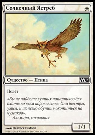 Suntail Hawk (rus)