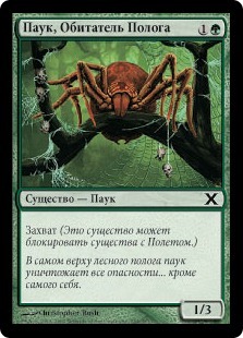 Паук, Обитатель Полога (Canopy Spider)