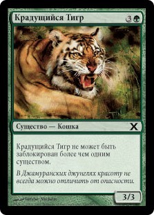 Stalking Tiger (rus)