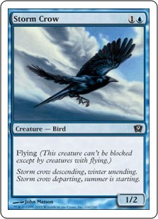 Storm Crow (rus)
