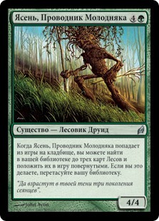 Seedguide Ash (rus)