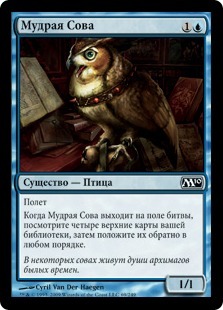 Мудрая Сова (Sage Owl)