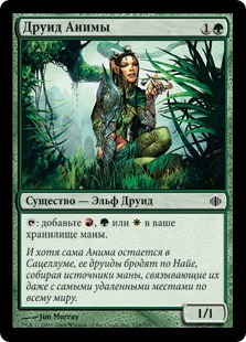 Druid of the Anima (rus)