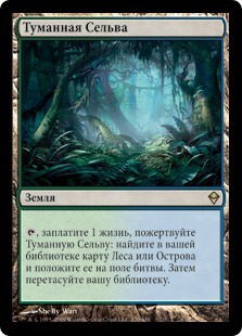 Туманная Сельва (Misty Rainforest)