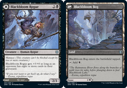 Blackbloom Rogue // Blackbloom Bog